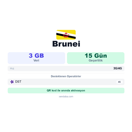 Brunei 3GB 15 Gün eSIM