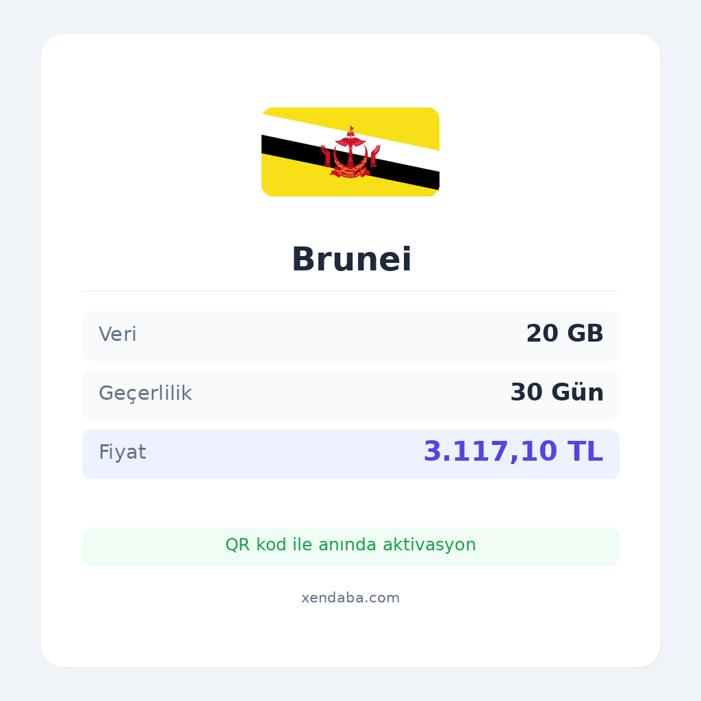Brunei 20GB 30 Gün eSIM