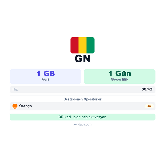 Gine 1GB 1 Gün eSIM