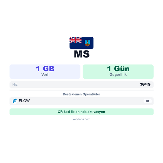 MS eSIM