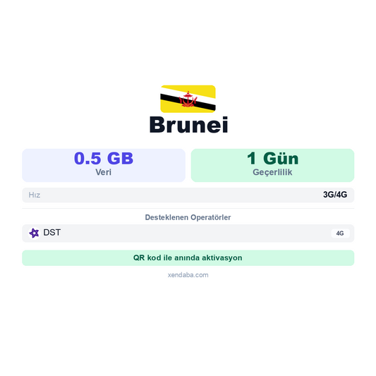 Brunei 0.5GB 1 Gün eSIM