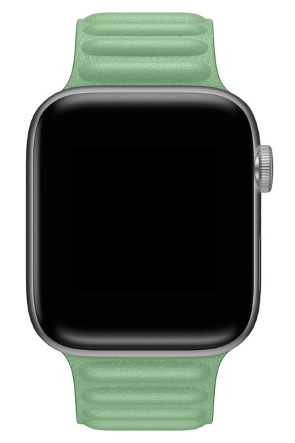 Apple Watch Uyumlu Baklalı Deri Loop Kordon Aventurin