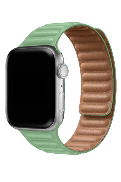 Apple Watch Uyumlu Baklalı Deri Loop Kordon Aventurin