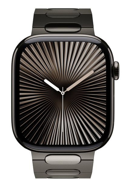 Titanova Apple Watch Uyumlu Titanyum Kordon Arduvaz